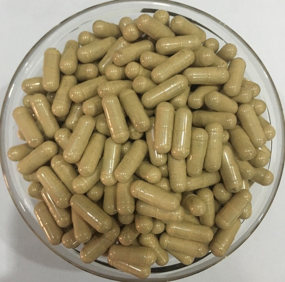 White Willow Bark Extract Capsules 15% Salicin Pure & High Quality