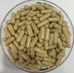 White Willow Bark Extract Capsules 15% Salicin Pure & High Quality