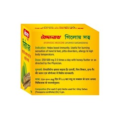 Baidyanath Giloy Satwa 50 gm / 1.76 oz Ayurvedic Herbal Powder For Immunity