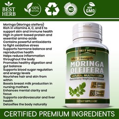 Organic Moringa Oleifera Leaf Supplement 60 PILLS Natural Immunity Weigh Loss