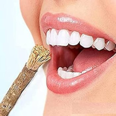 Neem Tree Twigs Natural Neem Datun Organic Toothbrush – 10 Sticks, 10CM Long
