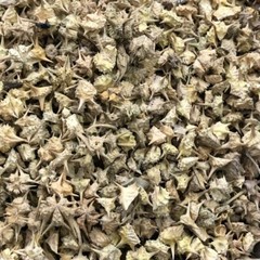 Gokhru ,Pedalium Mures, Land Caltrops, Gorkhu – Gokshura 50gm / 1.76 oz