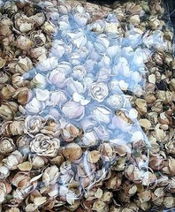 4 OZ. 113 GRAMS DRIED ROSE BUDS, RED, WHITE, YELLOW, 4 OZ BAG, 113 GRAMS, CRAFT