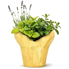 Stress Relief Live Plant Trio – Lemon Balm, Lavender, Mint