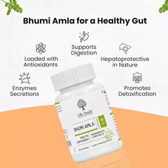 Life Aveda Bhumi Amla Capsules, Pack Of 60 Capsules Y372
