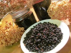 Elderberry – Whole Dried Berries, Summer 2023 Appalachian Mountains Wild Harvest