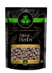 SAI HERBS Dried Raw Jamun Seeds – Good for Healthy Lifestyle