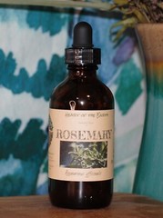ROSEMARY Extract Remember Memory Nourish ORGANIC FOLK Tincture