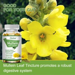 Healthfare Mullein Leaf Capsules Support Lung Cleanse Support Respiratory Health