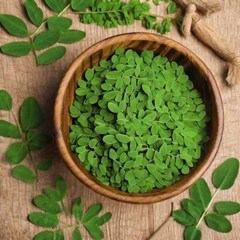 Moringa Extract Tincture (Moringa Oleifera) Liquid Moringa Herbal 2oz USA