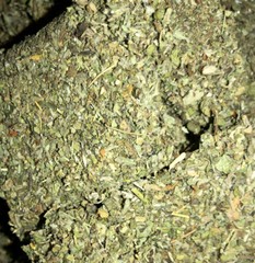 MULLEIN & DAMIANA & MARSHMALLOW herb blend ORGANIC leaf mix – oz 1 2 4 8 lb