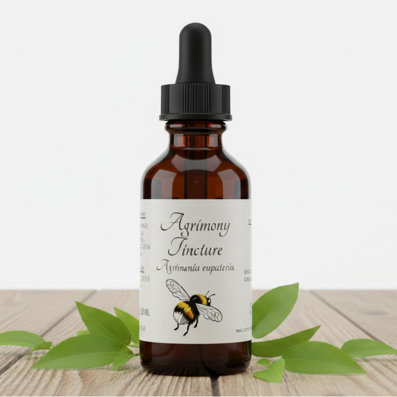 Agrimony Tincture, A Traditional Herbal Extract