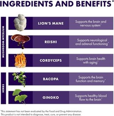 Host Defense MycoBotanicals Brain* Capsules – Brain Support Supplement with…