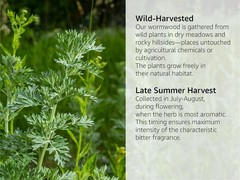 Wormwood Herb – Cut & Sifted – Artemisia Absinthium – Loose Bulk Herb