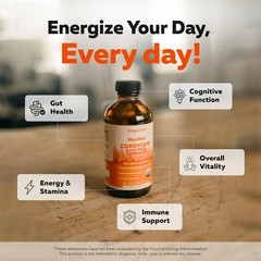 Organic Cordyceps Mushroom Extract 8 oz | Max Potency Tincture, 70% Beta Glucans
