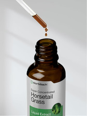 Horsetail Liquid Extract 2oz Alcohol-Free | Herbal Tincture Non-GMO Gluten Free