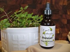 Boneset Tincture 2 oz. Wildcrafted