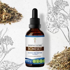 Secrets Of The Tribe Boneset Tincture Alcohol-FREE