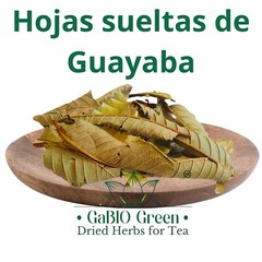 Dried whole Guava leaves Hojas de guayaba Natural Guava leaves Tea, Gabiogreen