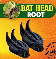 21 Pcs BICHHU PHAL BAT HEAD ROOT DEVILS CLAW KAKNASA MARTYNIA ANNUA – F/S
