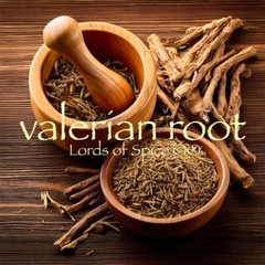 Valerian Root Tea – Dried Cut – High Quality ~ Valeriana Officinalis ~ USA