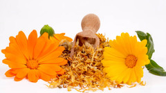 Calendula Marigold Floral Pieces or Powder 1/4/8 oz | Natural Skin Support