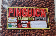 Uva Ursi, Pinguica,Arctostaphylos, Bearberry, uva ursi fruit Organic wild 4oz !