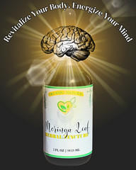 Moringa Tincture Natural Liquid Drops | Superfood for Energy & Wellness 2oz