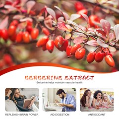 1200mg Berberine HCL Capsules High Absorption,Heart Health 60/120/240Tablets