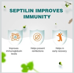 Himalaya Septilin 5 BOX 300 tablet Vegetarian Botanical 100% Pure Herbles.