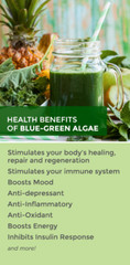 STEM CELL Enhancer 500mg – Organic Blue Green Algae – Anti Aging – 3 Bottles