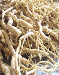 Mondia Whitei Extract Pure& High Quality Entego Mulondo Mukombero Aphrodisiac1lb
