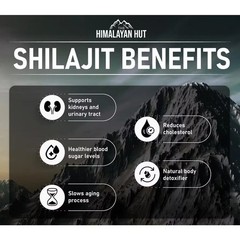 Max Potency Shilajit Extract 500mg – Men’s Vigor, Stamina, Testosterone Booster
