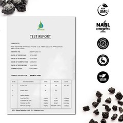 Organic 100% Pure Himalayan Shilajit, Soft Resin, Extremely Potent 120 caps Z563