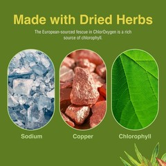 Herbs Etc. ChlorOxygen Chlorophyll Concentrate Liquid, 1 fl oz, 2 Pack