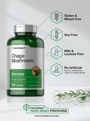 Chaga Mushroom Capsules | 600mg | 180 Count | Non-GMO | by Horbaach