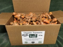1-15lbs fresh turmeric root