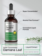 Damiana Liquid Extract | Alcohol Free | 2 fl oz | Vegetarian | by Horbaach