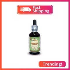 Herbal Terra LLC Kalanchoe Pinnata (Bryophyllum Pinnatum) Glycerite, Dried Leave