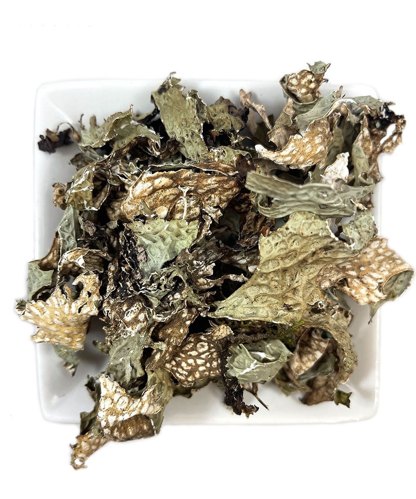 Lungwort Lichen Moss ( Pulmonaria officinalis) Dried Herb Tea Fresh Batch RARE