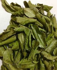 Ceylon Guava Sun Dried Leaves (Psidium guajava) 50g – 1.76Oz Free Shipping