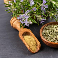 Rosemary Pure Powder Salvia rosmarinus Leaf Herb Botanical 1oz 2oz 4oz 8oz 16oz