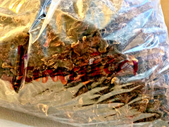 Flor de Jamaica Dried Hibiscus Flowers Herbal Tea Agua de Jamaica Loose