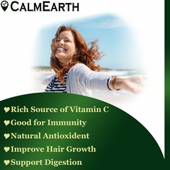 CalmEarth Amla Organic Herbal Capsule 100% Pure Phyllanthus emblica