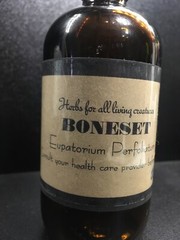 Boneset Tincture (Eupatorium Perfoliatum) Apothecary Alternative Health