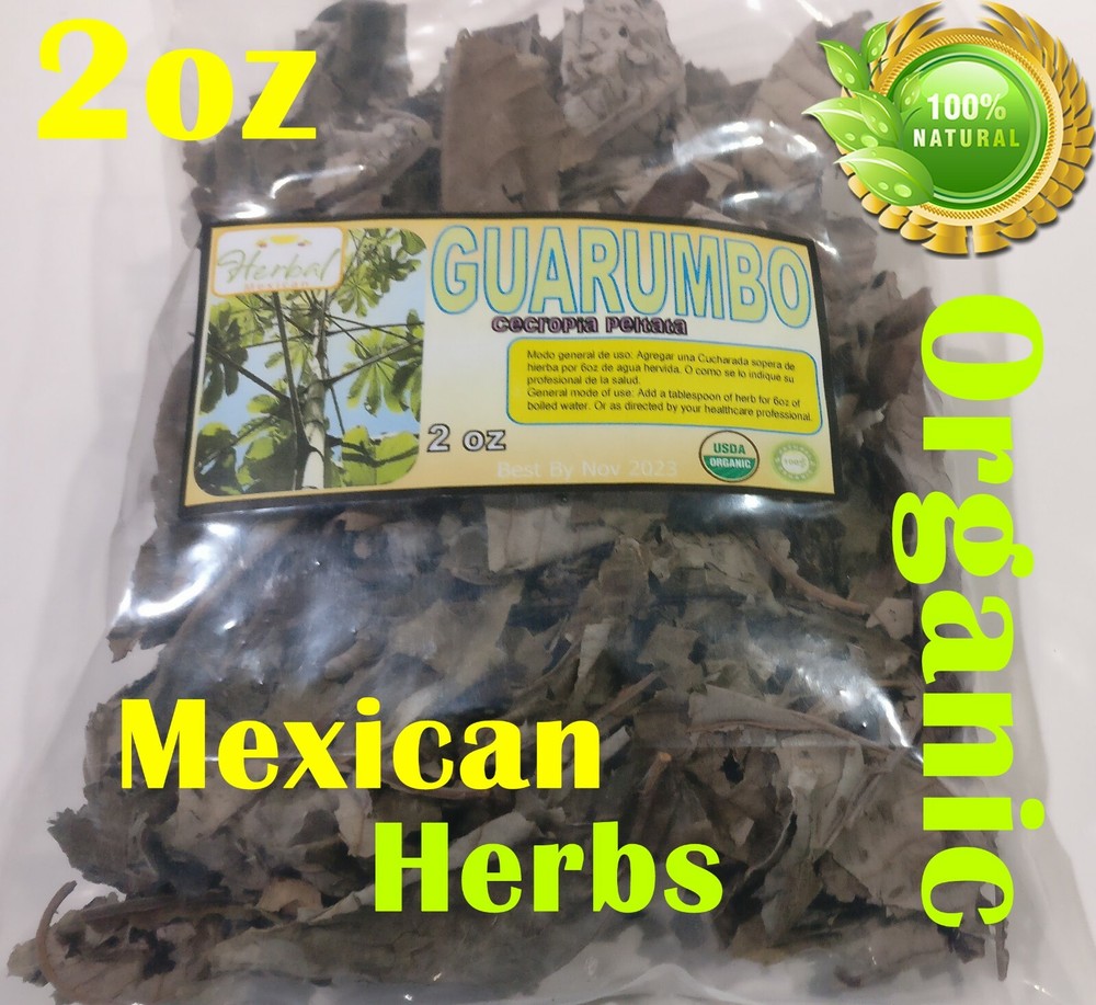 Guarumo Hierba Te, guarumbo, yagrumo, yarumo, Chancarro, Cecropia peltata !!