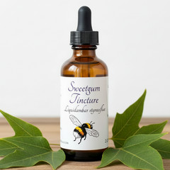 Sweetgum Tincture, Wild Organic Liquidambar Styraciflua Herbal Shikimic Acid