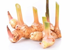 Fresh Galangal Root 1 lb Thai Ginger Herb Cooking Plant Rhizome Ships Fresh