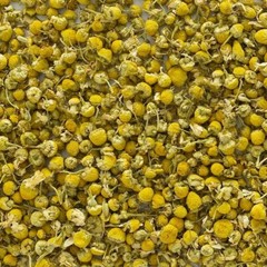 Camomile Tea – Loose Dried Chamomile Flowers – Matricaria Recutita – USA grown