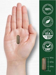Wild Lettuce Extract 500mg | 200 Capsules | Non-GMO, Gluten Free | by Carlyle